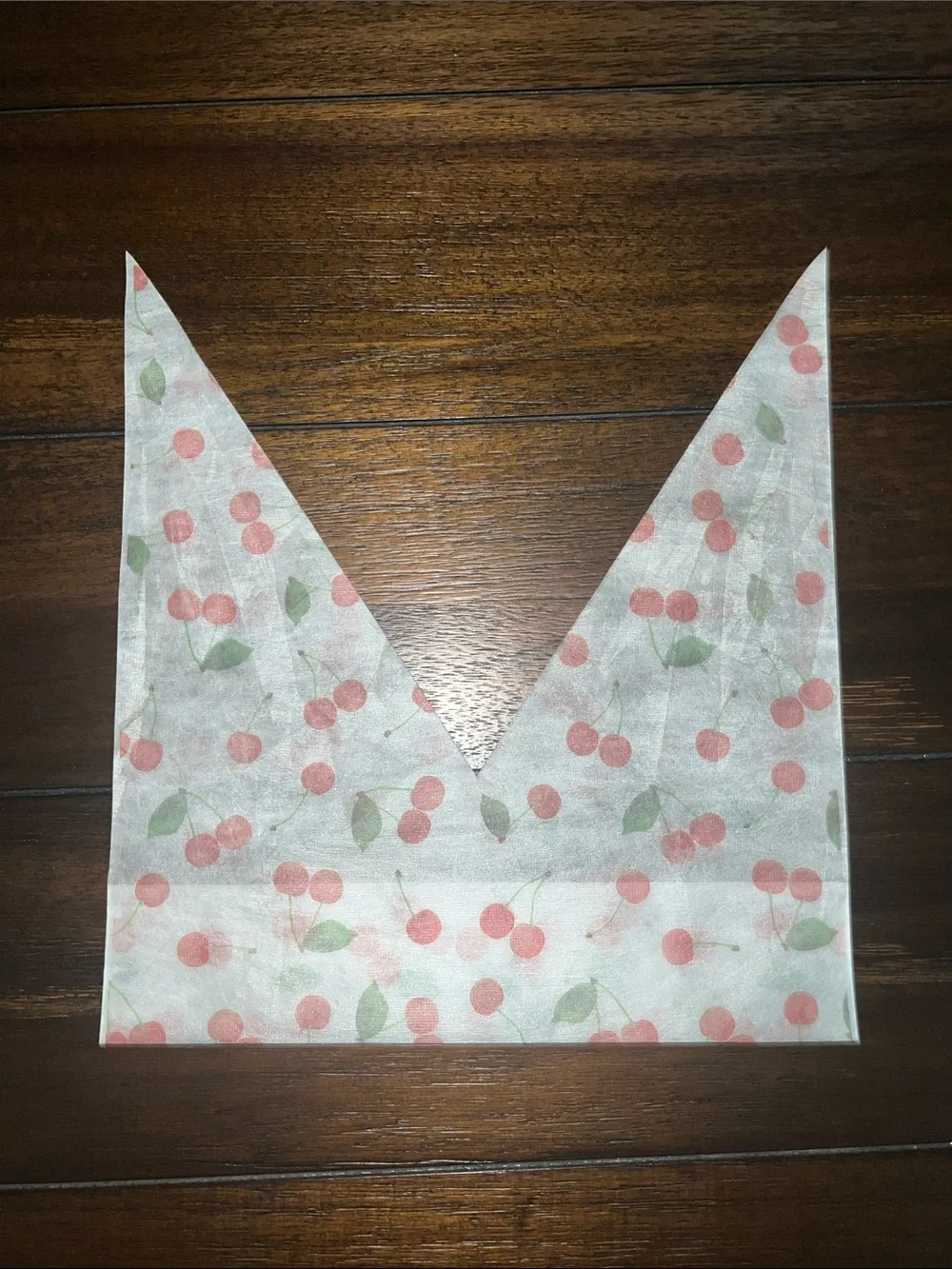 Cherry Print Eco Friendly Gift Bag